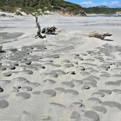Der Wind formt lustige Dinge aus dem Sand