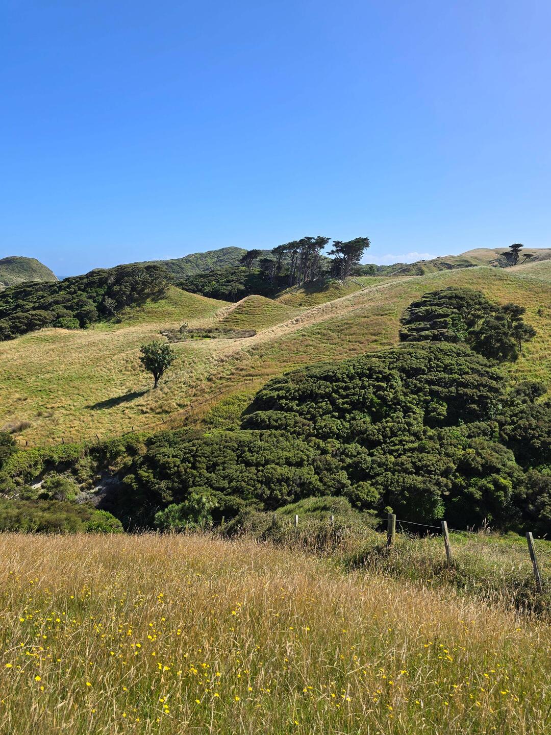 Ganz schön hügelig ist es hier ⛰️