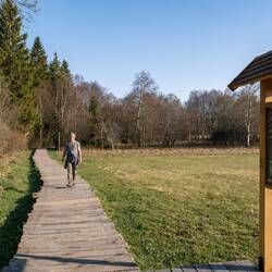 Am schwarzen Moor