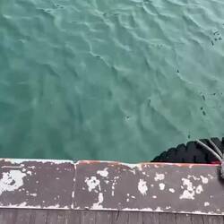 Verschiedene Eindrücke der Bootstour