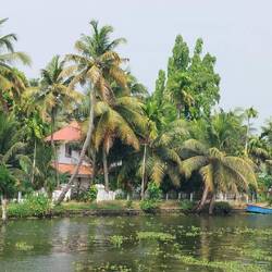 View along the waterway of the Kerala Backwaters