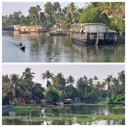After a night on the houseboat, views on the way back to Alappuzha "harbour"