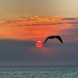 So ein toller Sonnenuntergang ☺️