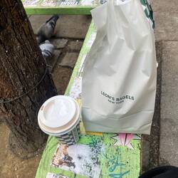 everything bagel with jalapeño cream cheese