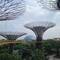 Skywalk