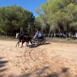 Der Kleine macht das schon gut