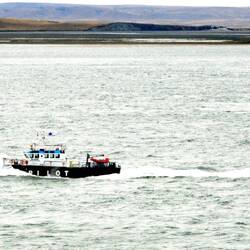 pilot boat bringing the pilot to guide us in