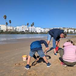 Die Jagt nach den Schwerstmuscheln geht weiter....