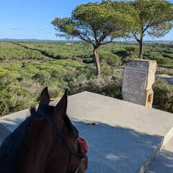Punto Mágico la Espartosa - mit Blick über d Chiclana Park