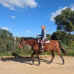 Endlich wieder reiten... 😁