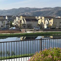 The fence comes down!!!!