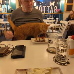 Gastro Bistro! Günther mal ganz neu