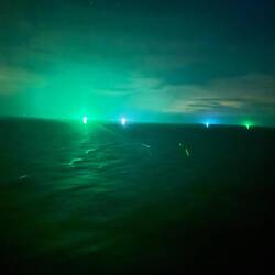 Hier werden Tintenfische 🐙 gefischt