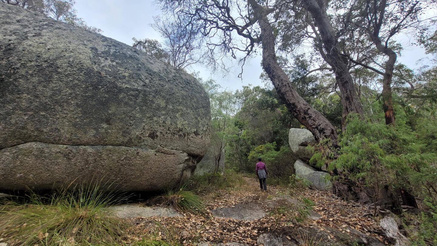 Mt Clarance