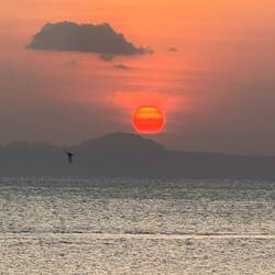 Lots of pretty sunsets. We tried to always be at the beach as the sun set.
