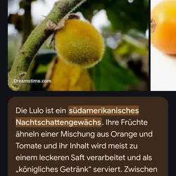 Was trinke ich hier eigentlich