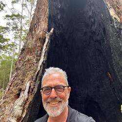 Die sind wirklich groß die Bäume – und von Feuern in der Wurzel ausgehöhlt.