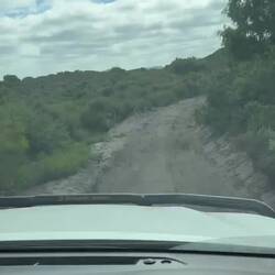 Wie schön, auch an entlegene Campgrounds zu kommen... Rose macht's möglich😁