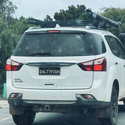 Geiles Nummernschild!