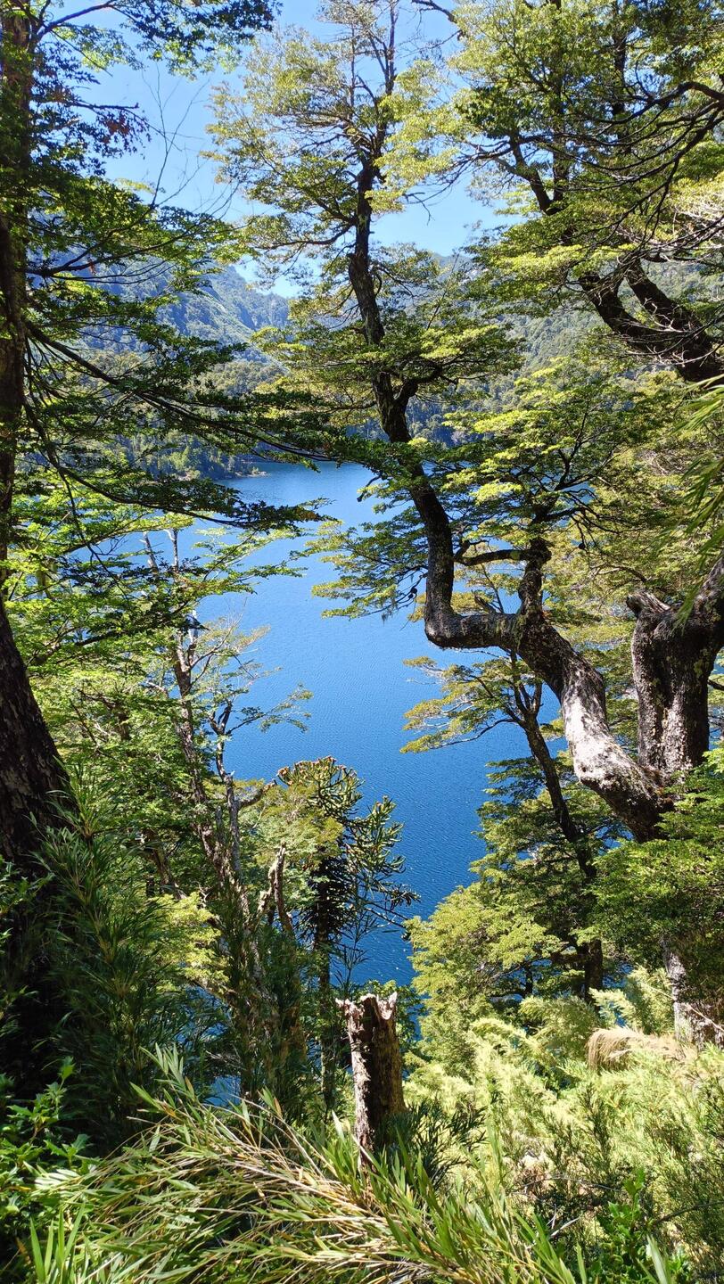Beautiful forests and lakes