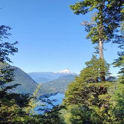 Did I mention the forest and views were beautiful?