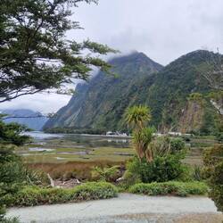 Hafe vo Milford Sound