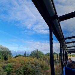Blick usem Panoramabus