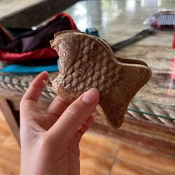 Inexplicable chocolate ice cream fish