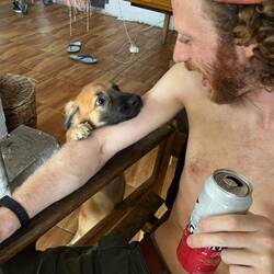 Laying down the law (again)