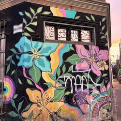 Magnificent murals
