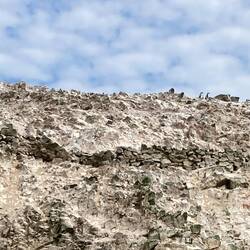 Pinguine 🐧 (ganz oben, ganz klein)