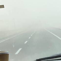 Ob wir heute wohl was sehen?