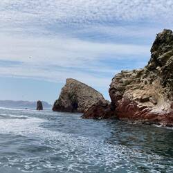 Wer sieht da auch ein Gesicht?