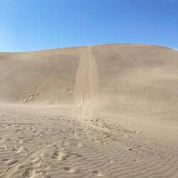 Da bin ich runtergerodelt.