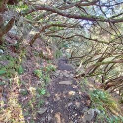 Manchmal muss man auch den Kopf einziehen