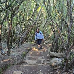 Stufen Stufen Stufen