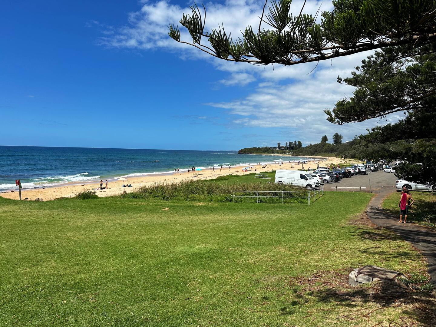 Sharky's beach