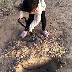 A fun little lesson in dealing with obnoxious pests, as per local laws