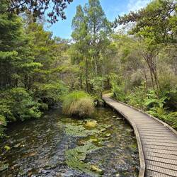 Die Te Waikoropupu Springs