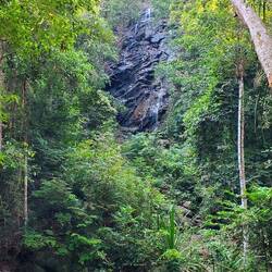 Tha National Park