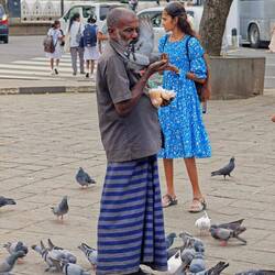Taube im Gesicht 😁