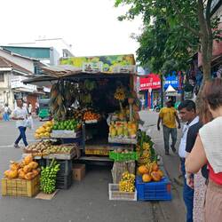Mobiler Obstverkäufer 🤓