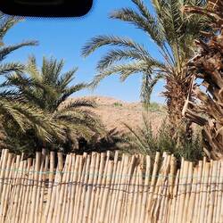 Ausblick aus unserem Wüstenschiff. Da muss der Hymer jetzt mal zwei Tage ohne uns ausharren