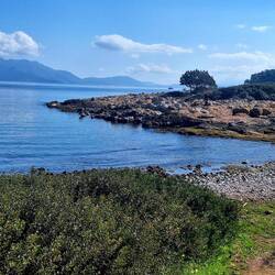 Hier treffen sich die einheimischen Angler