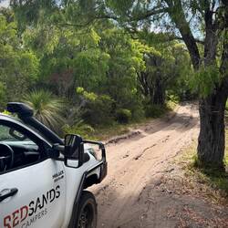 Einmal Sandtrail zurück.