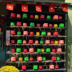 Glücksschweinchen🐷