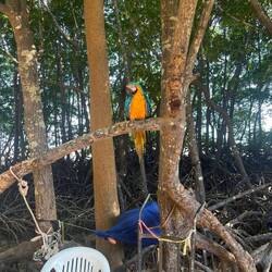 Hmm... wie ist der hierher gekommen?