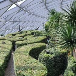 Labyrinth aus Hecken