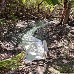 komische Brühe im Abwasserkanal Strasse zur Lagune