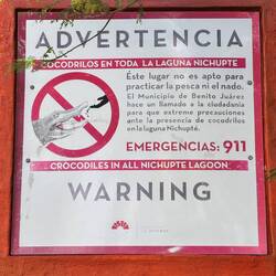 fast unglaublich - eine Krokodilwarnung